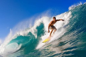 JIU YOU GAME-巴西马术协会建立马匹基因数据库，促进马匹选育与训练。，巴西马拉松选手利马