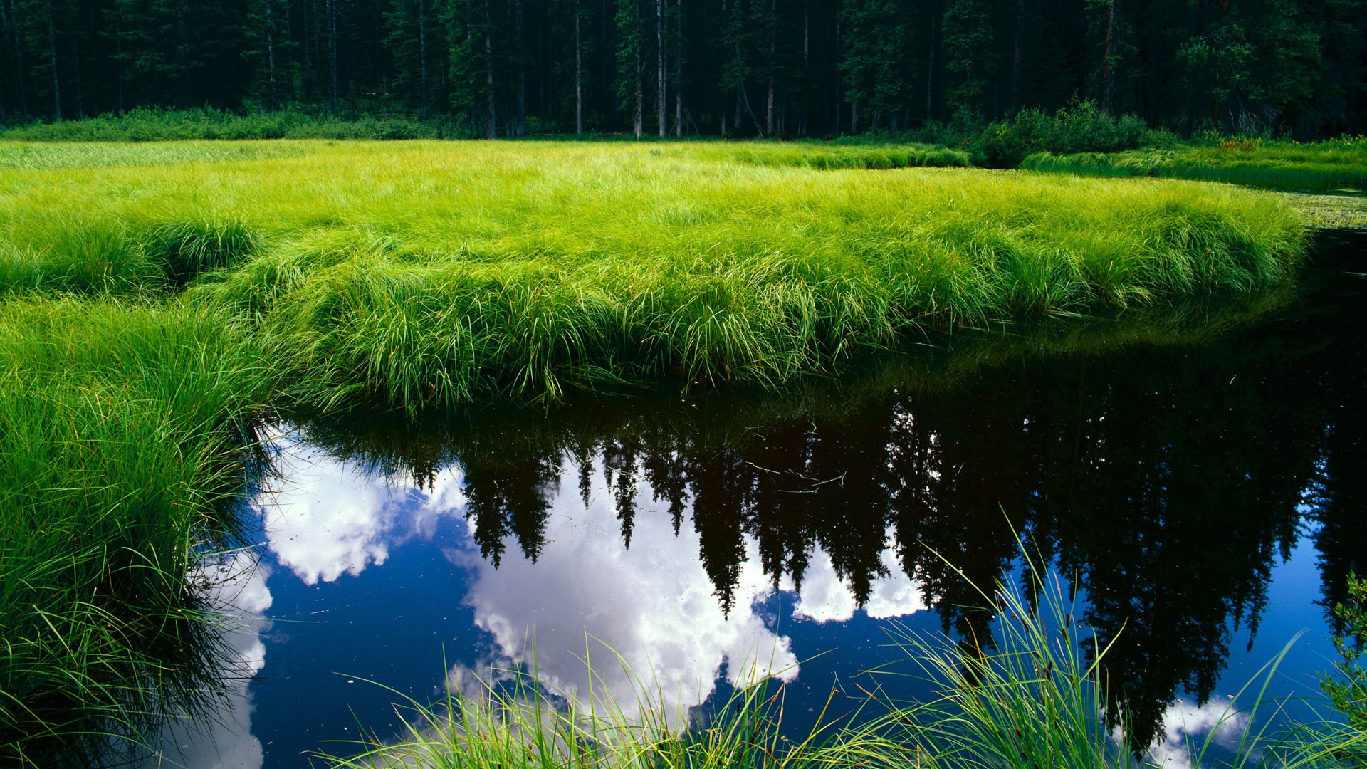九游娱乐-体育医疗保障体系升级经验交流提升备战质量，体育医疗包括