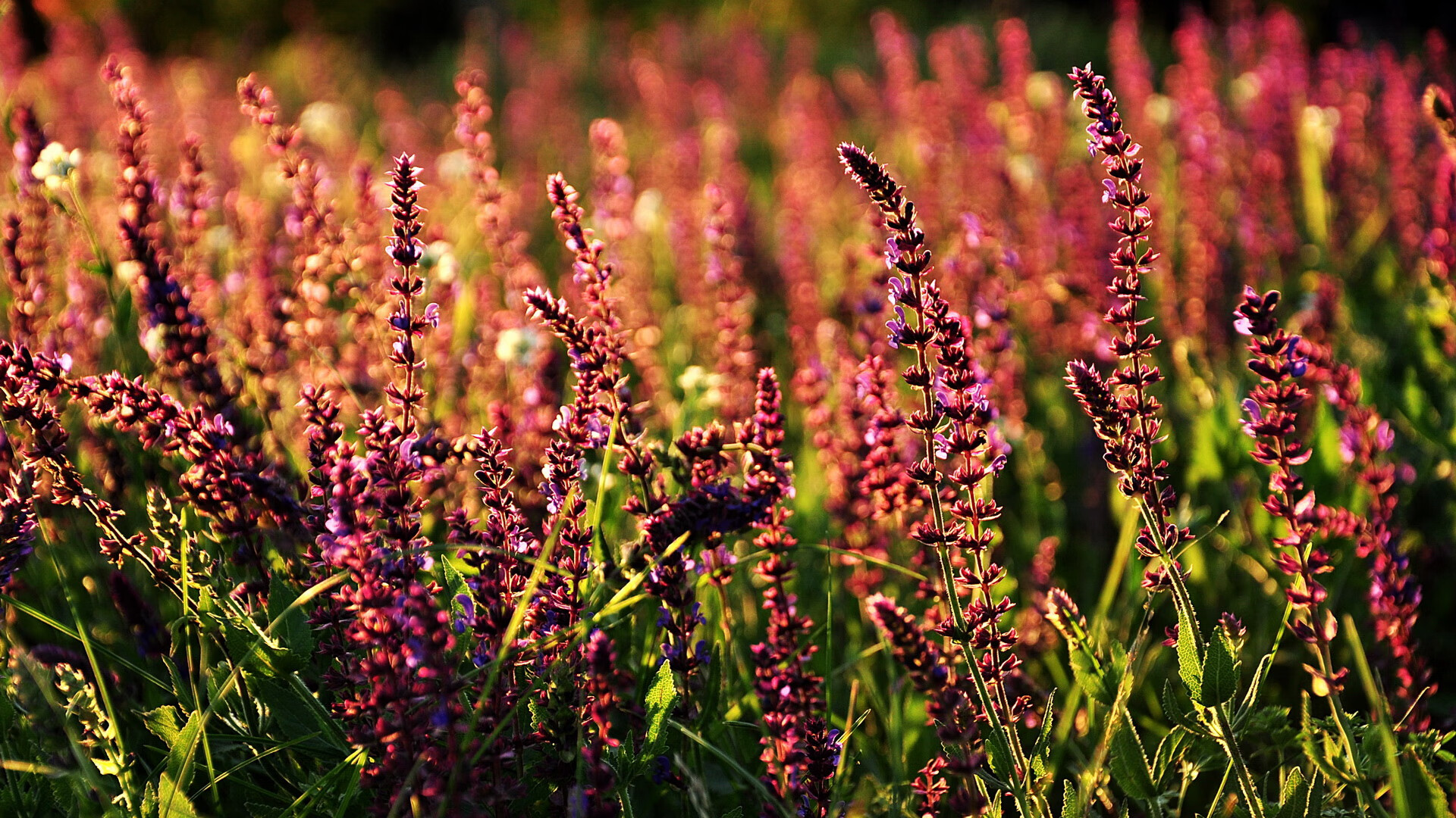 球员是否通过提前压上控制反击线路形成反包夹