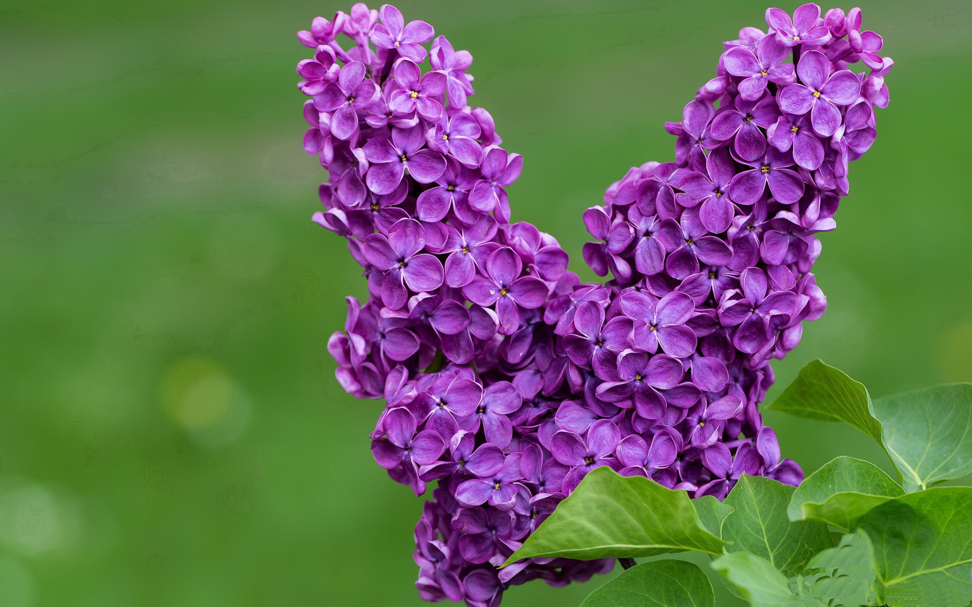 九游体育网站-比赛当晚突发情况处置及时赛事组织能力获得肯定，比赛过程中可能会出现哪些突发状况