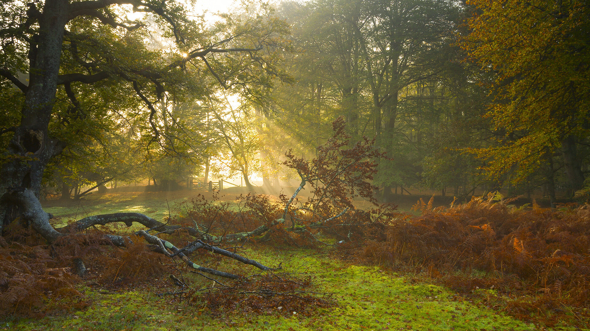 九游体育娱乐-足球联赛季后赛赛程公布，足球联赛季后赛赛程公布表
