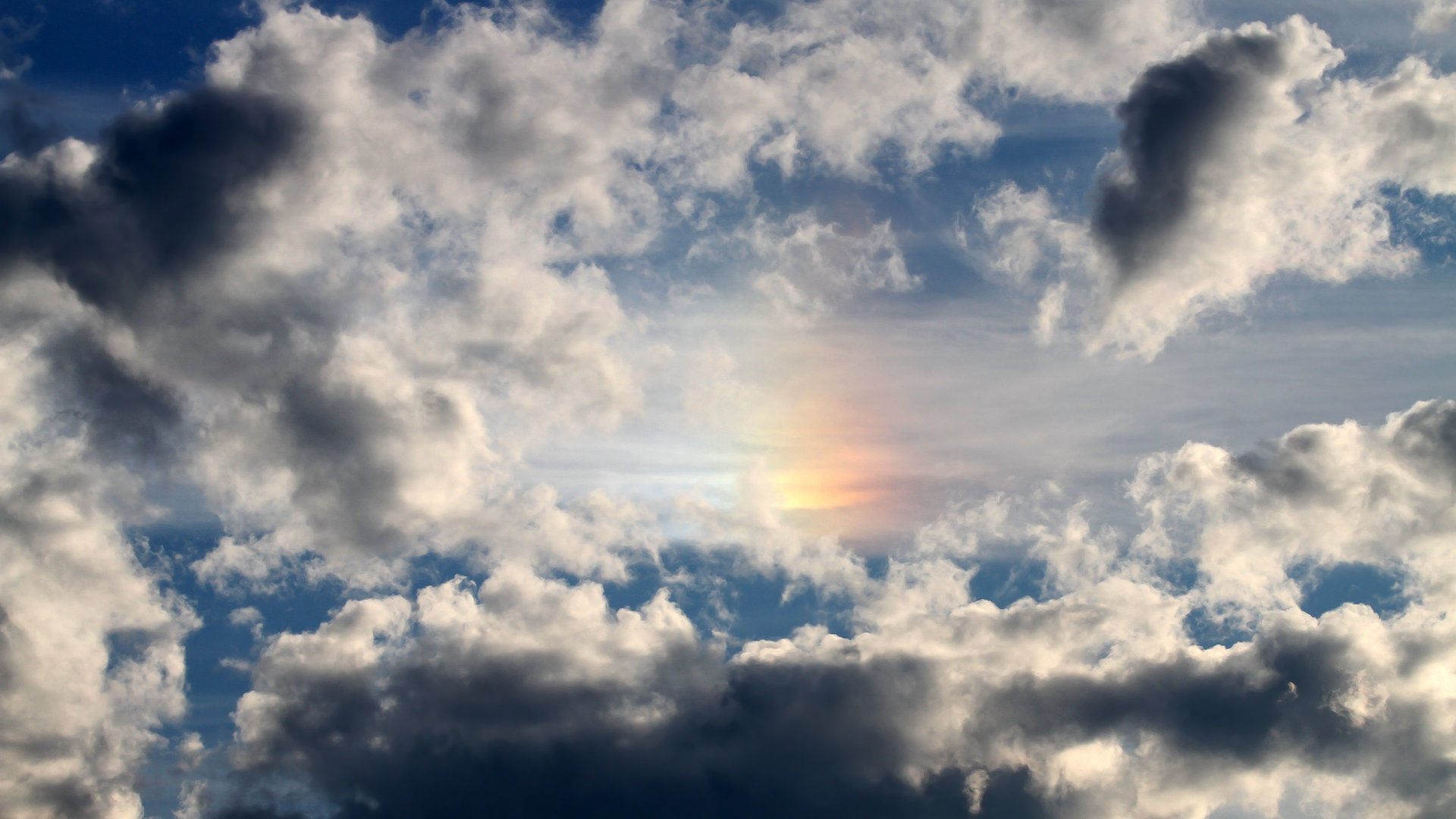 九游体育-里奇·麦考无愧为橄榄球场上的“战术大师”