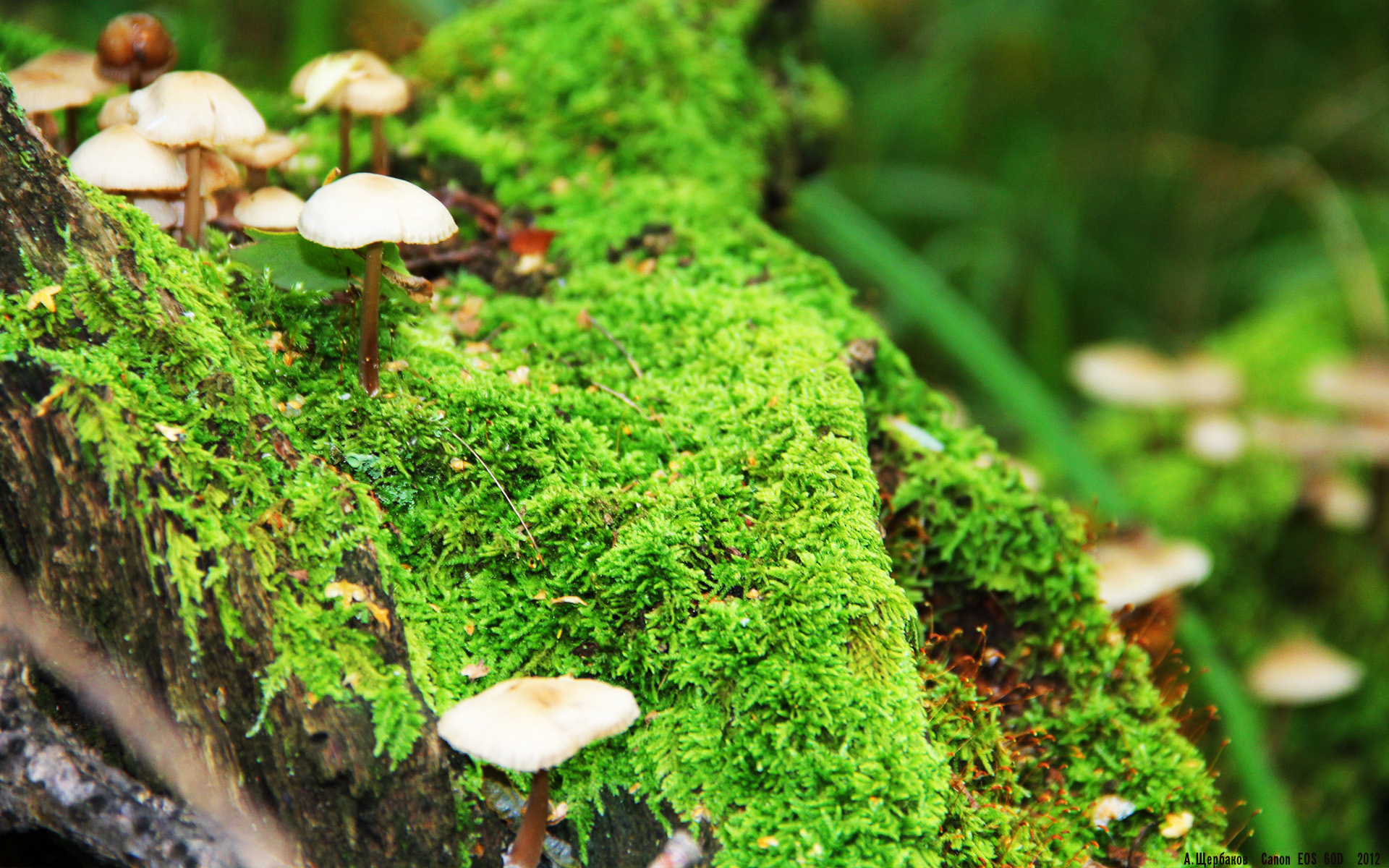 九游娱乐官网-青少年足球比赛跨年举行，培养坚韧意志与团队合作精神，青少年的足球联赛